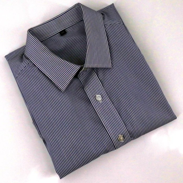 Mens wrinkle free dress shirt